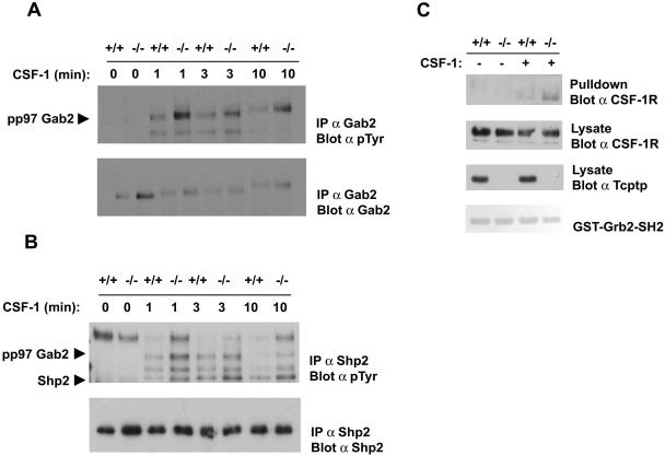 FIG. 8.