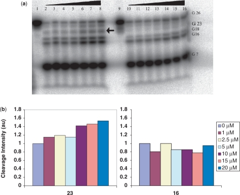 Figure 5.