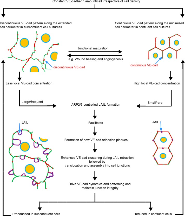 FIGURE 6: