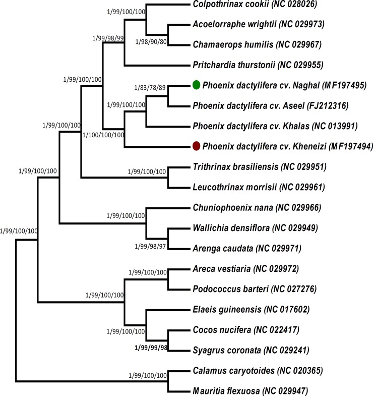 Fig 6