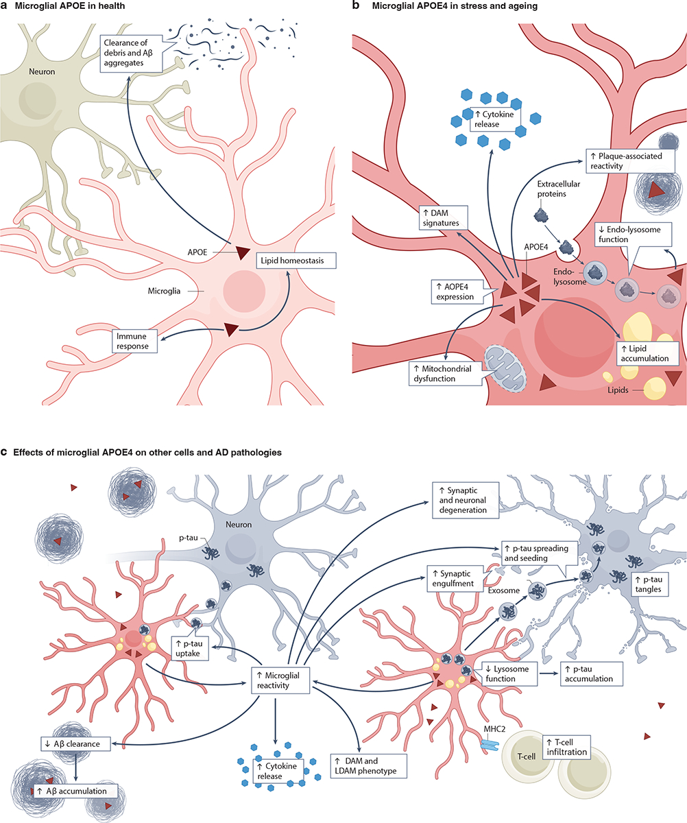 Fig. 4: