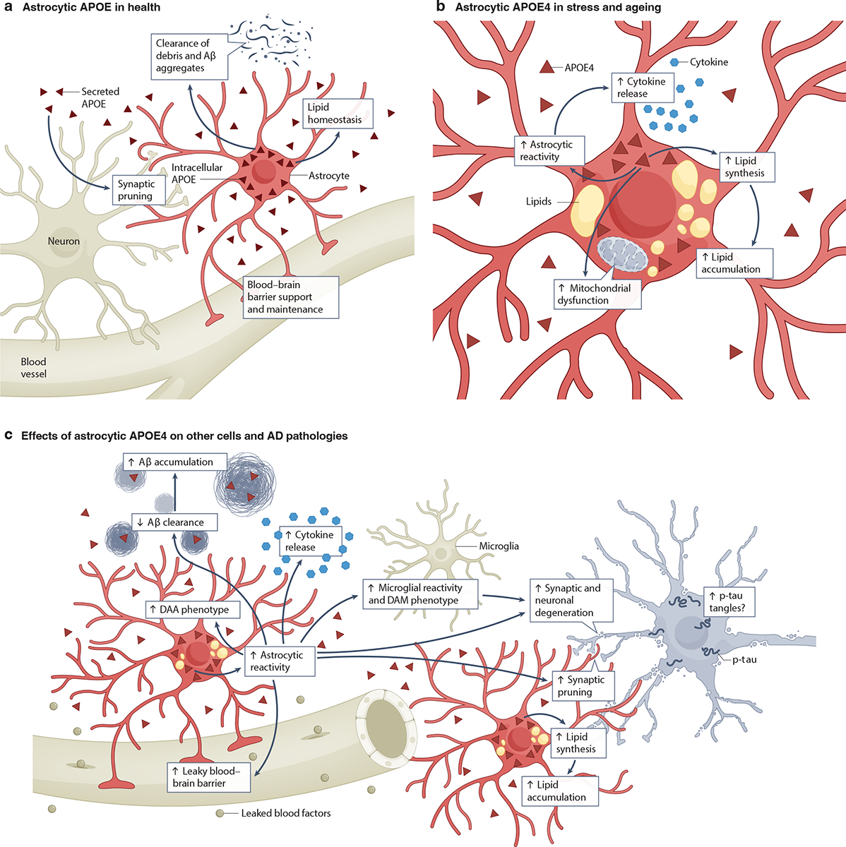 Fig 2: