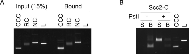 Figure S4.