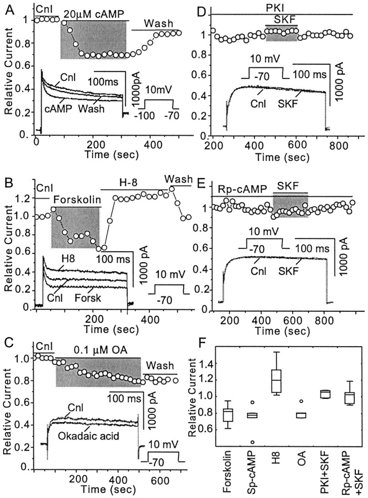 Fig. 7.