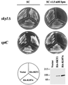 FIG. 3