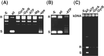 FIG. 3.