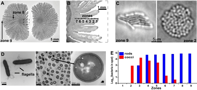 FIG 1 