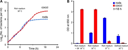 FIG 3 