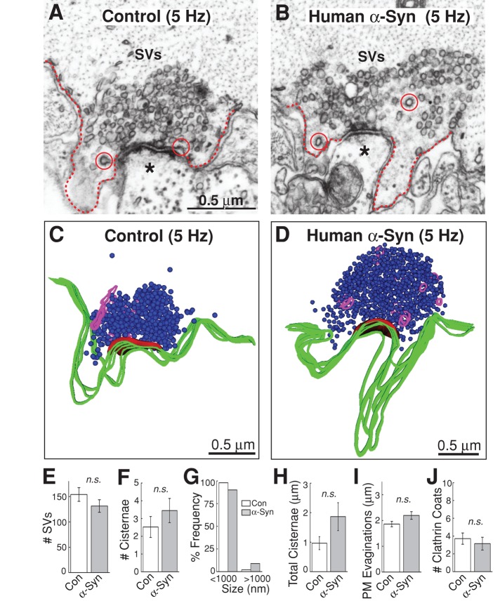 FIGURE 10: