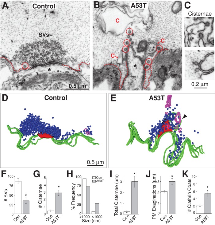 FIGURE 9: