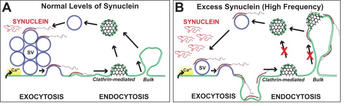 FIGURE 11: