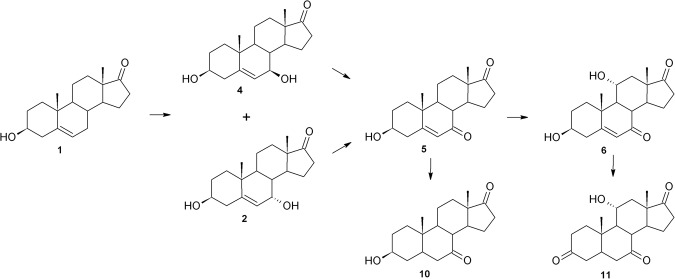 Figure 7