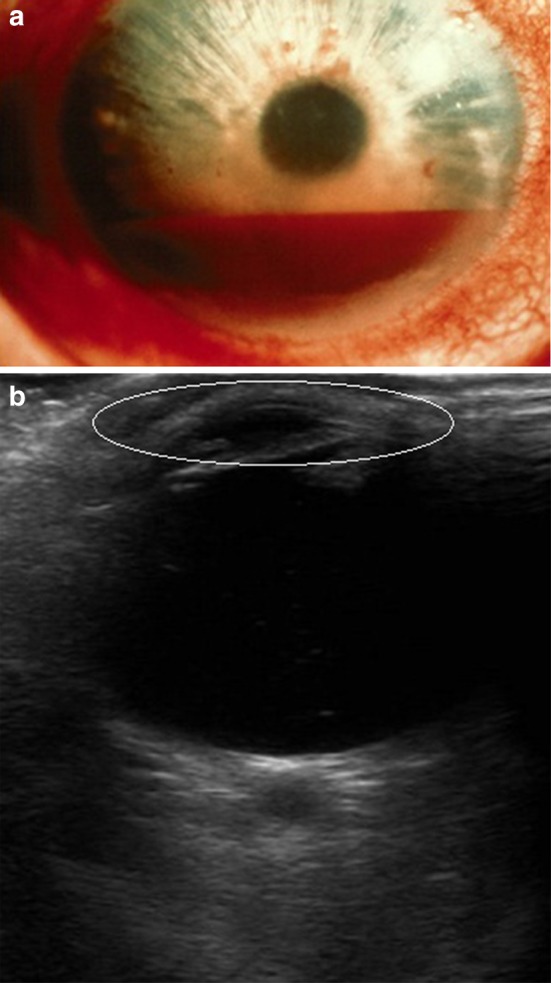 Fig. 3