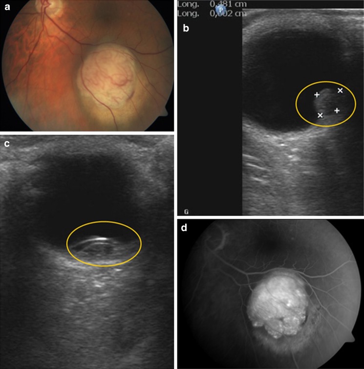 Fig. 7