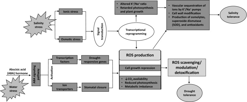 Fig. 1