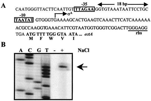 FIG. 5.