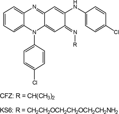 FIGURE 1.