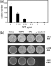 FIGURE 10.