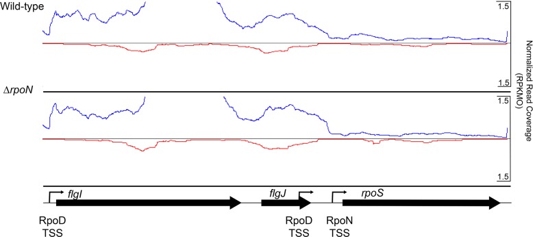 Fig 10