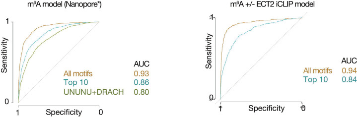 Figure 6—figure supplement 1.