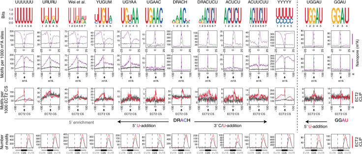 Figure 5—figure supplement 4.