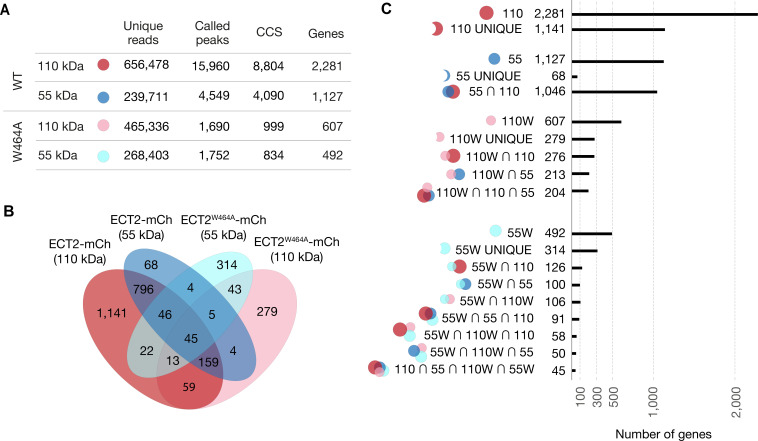 Figure 3—figure supplement 4.