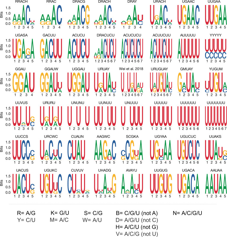 Figure 5—figure supplement 2.