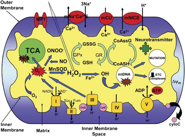 Fig. 3.