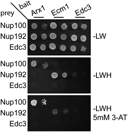 FIGURE 5.