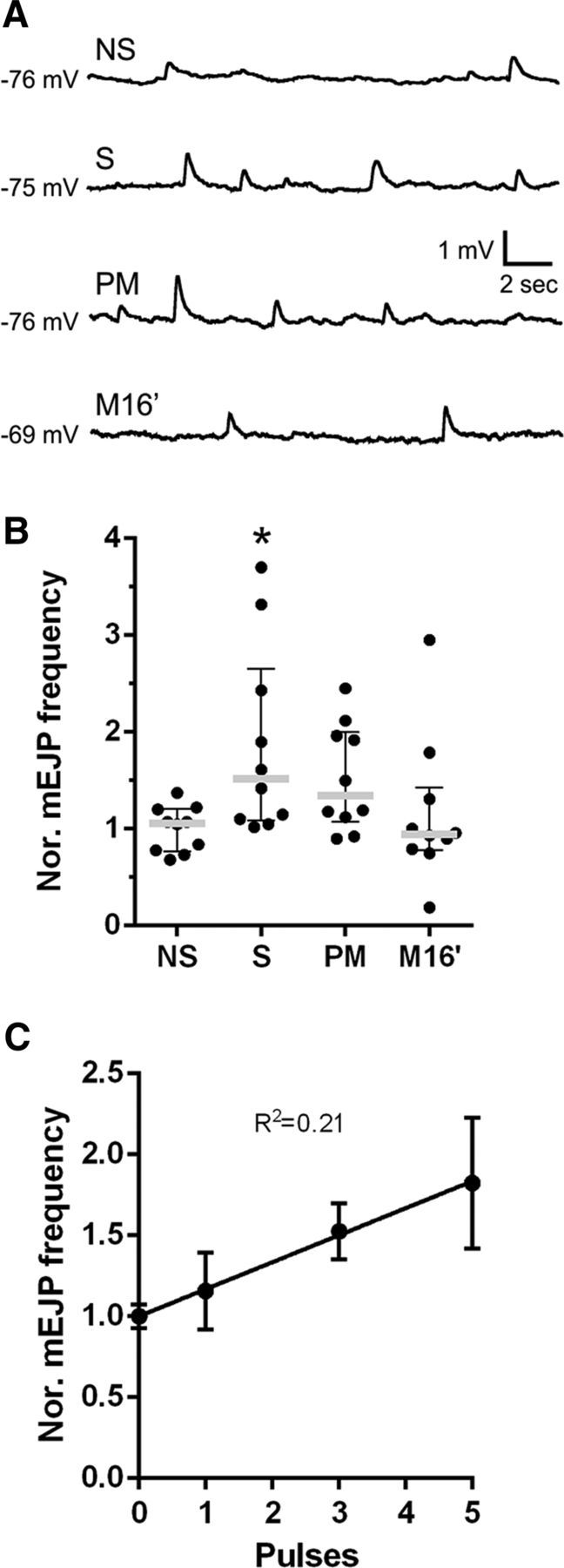 Figure 7.