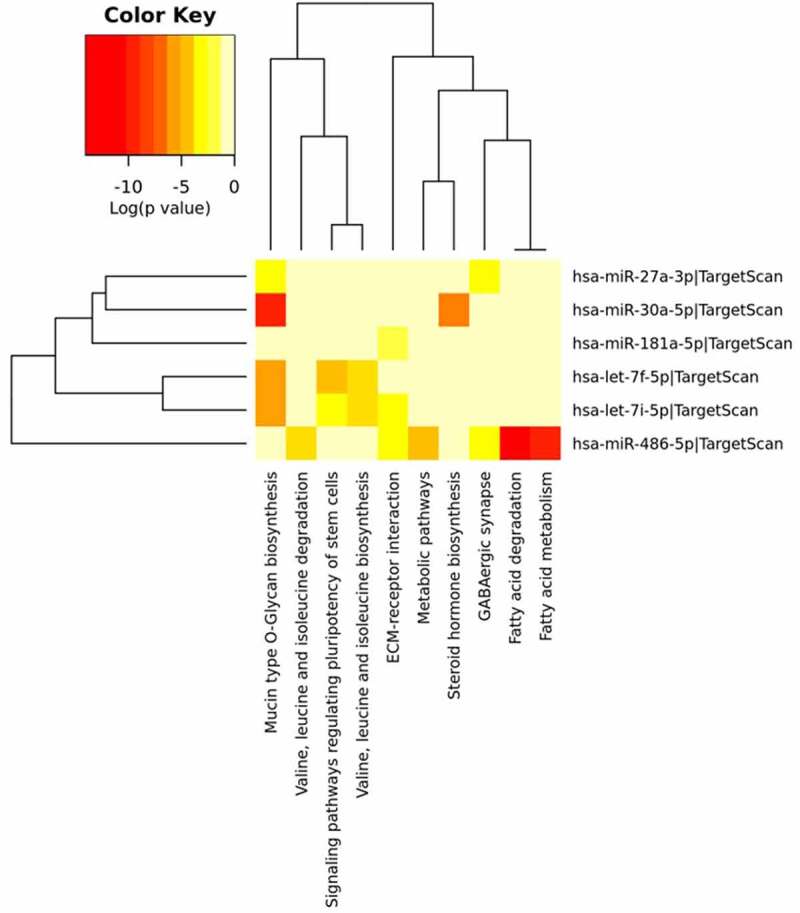 Figure 10.