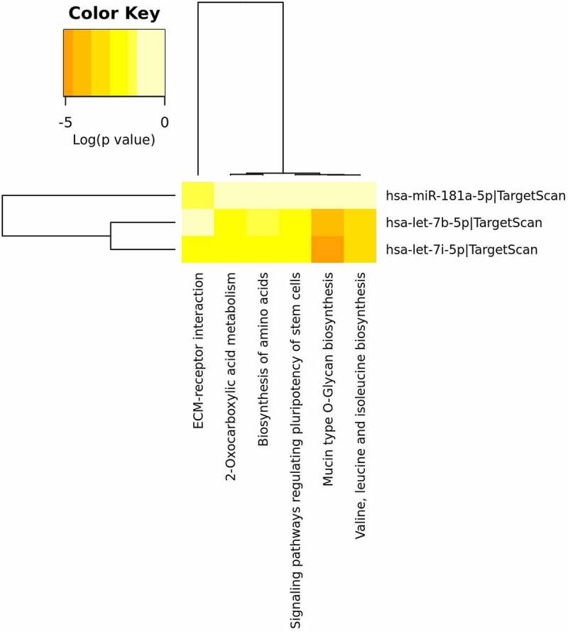 Figure 11.