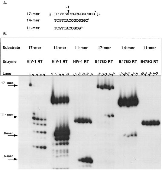 FIG. 5
