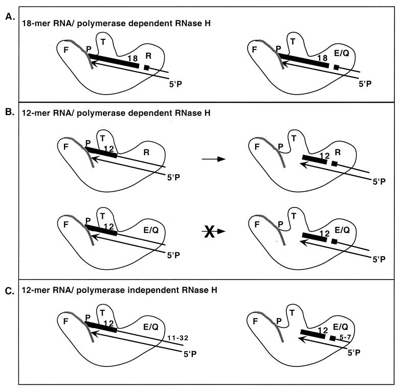 FIG. 7