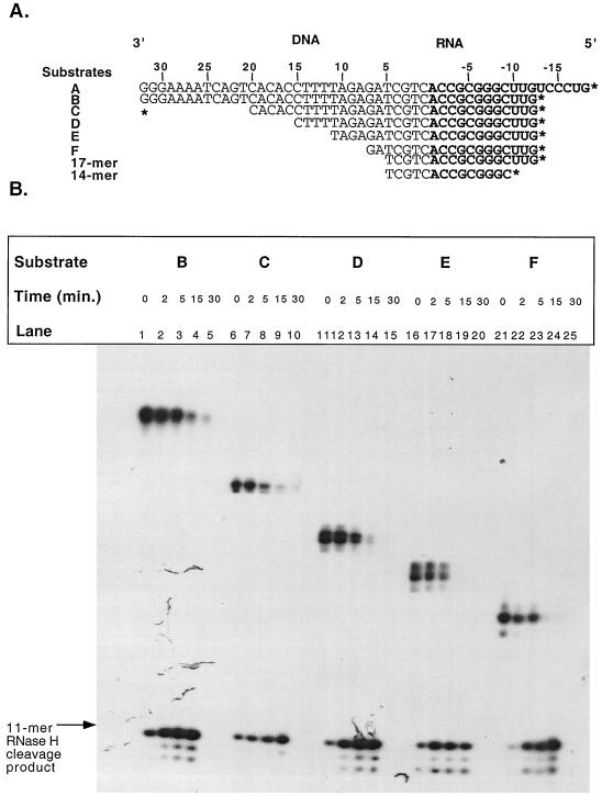 FIG. 6