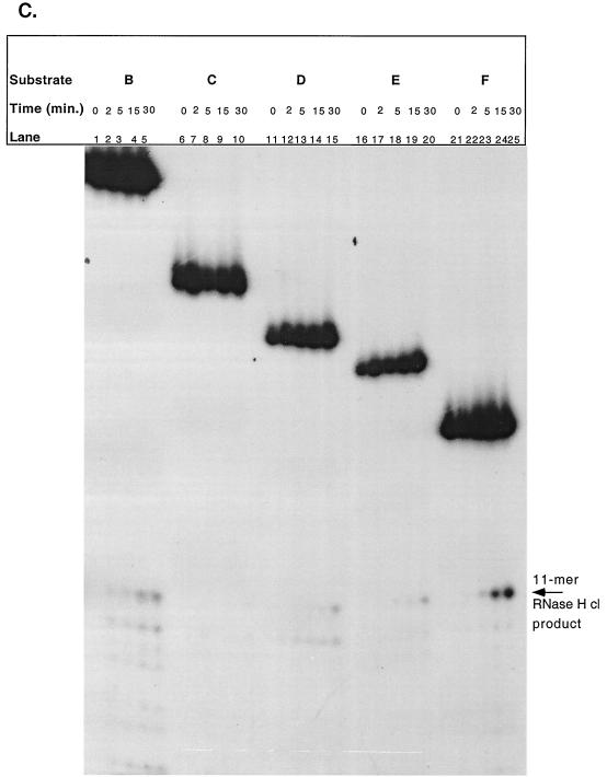 FIG. 6