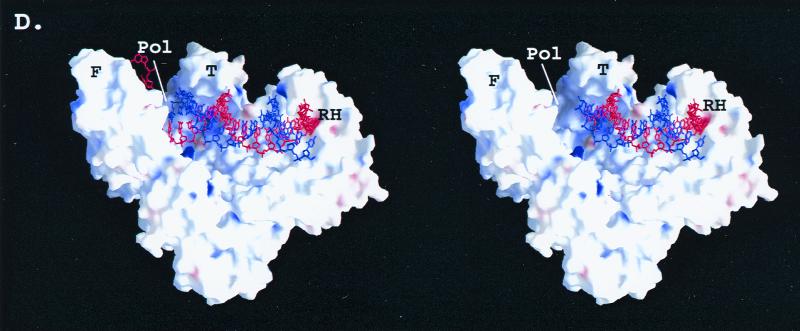 FIG. 7
