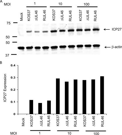 FIG. 9.