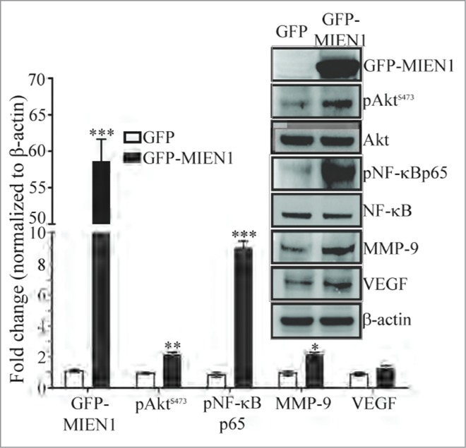 Figure 5.