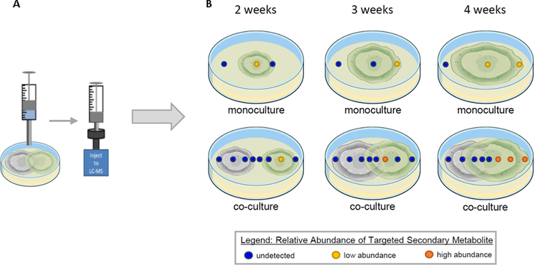 Fig. 10.