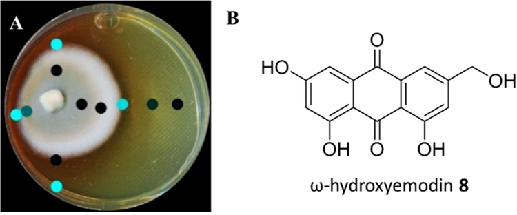 Fig. 7.