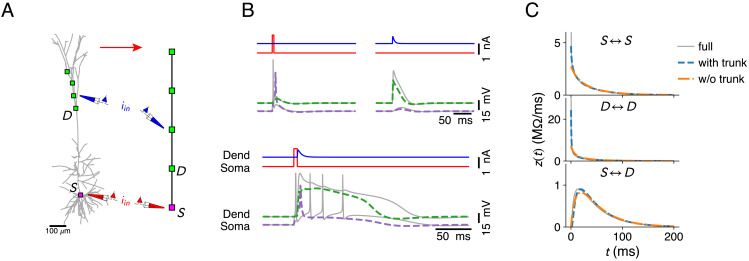 Figure 3—figure supplement 1.