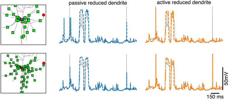 Figure 5—figure supplement 1.