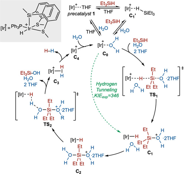 Scheme 2