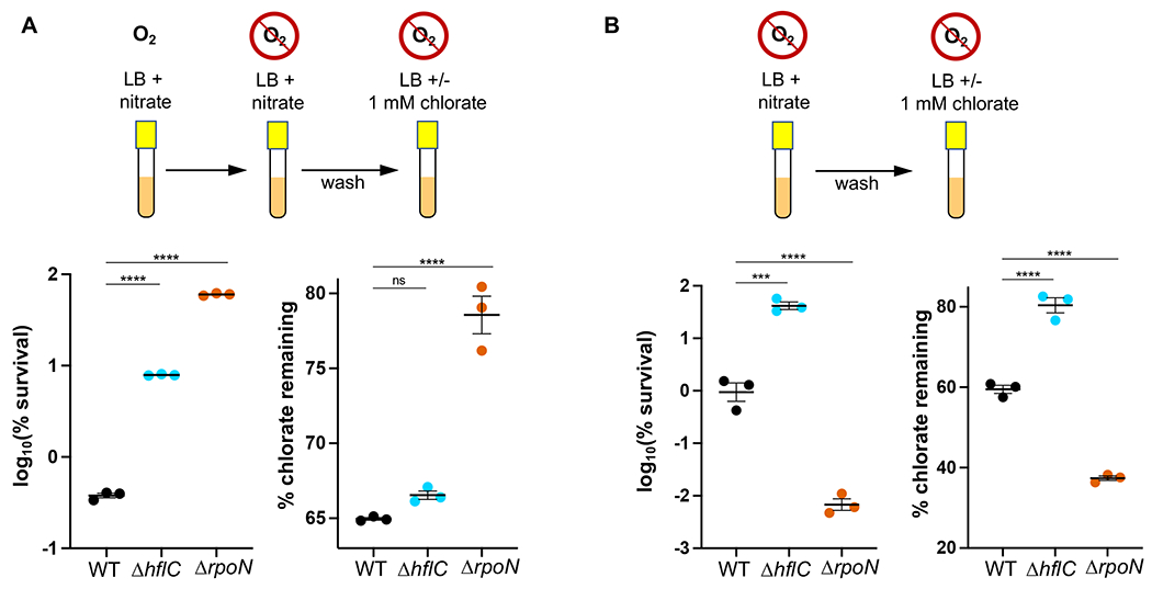 Figure 5:
