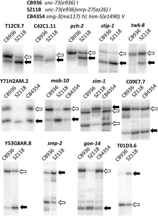 FIGURE 2.