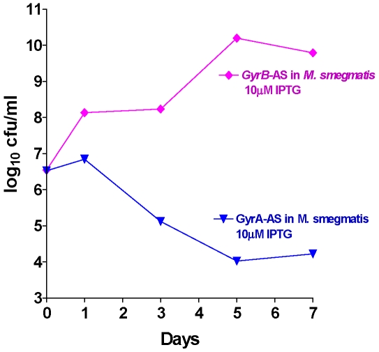 Figure 7