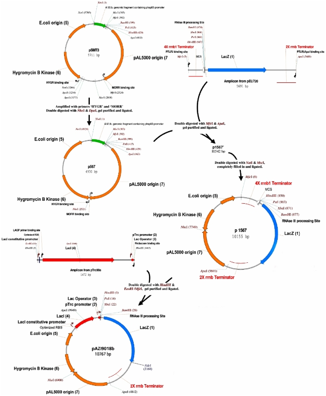 Figure 2