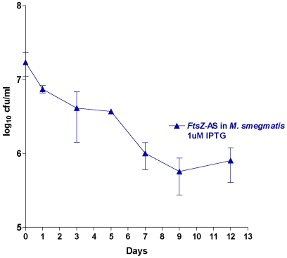 Figure 6