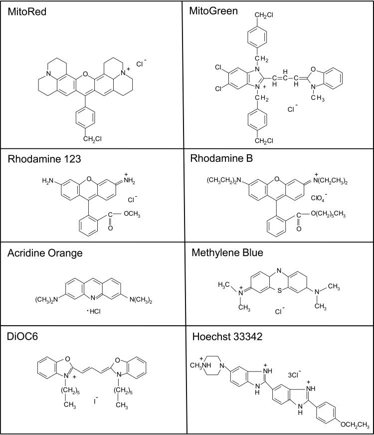 FIG 2